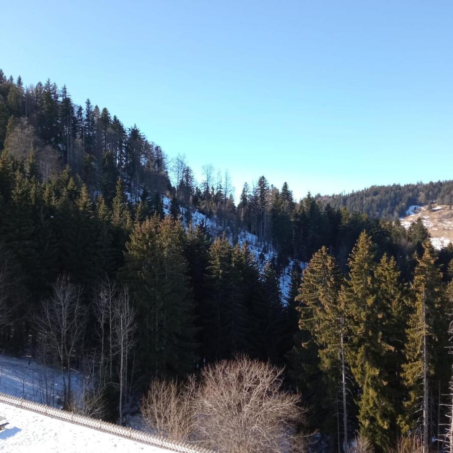 Appartement Dernier Etage Au Pied Des Pistes Hirmentaz Bellevaux Luaran gambar